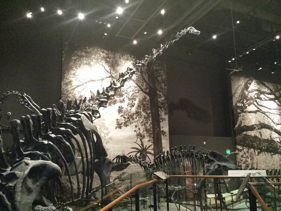 Click to See Next Image